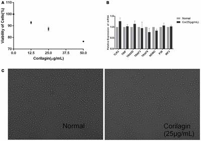 Corilagin Interferes With Toll-Like Receptor 3-Mediated Immune Response in Herpes Simplex Encephalitis